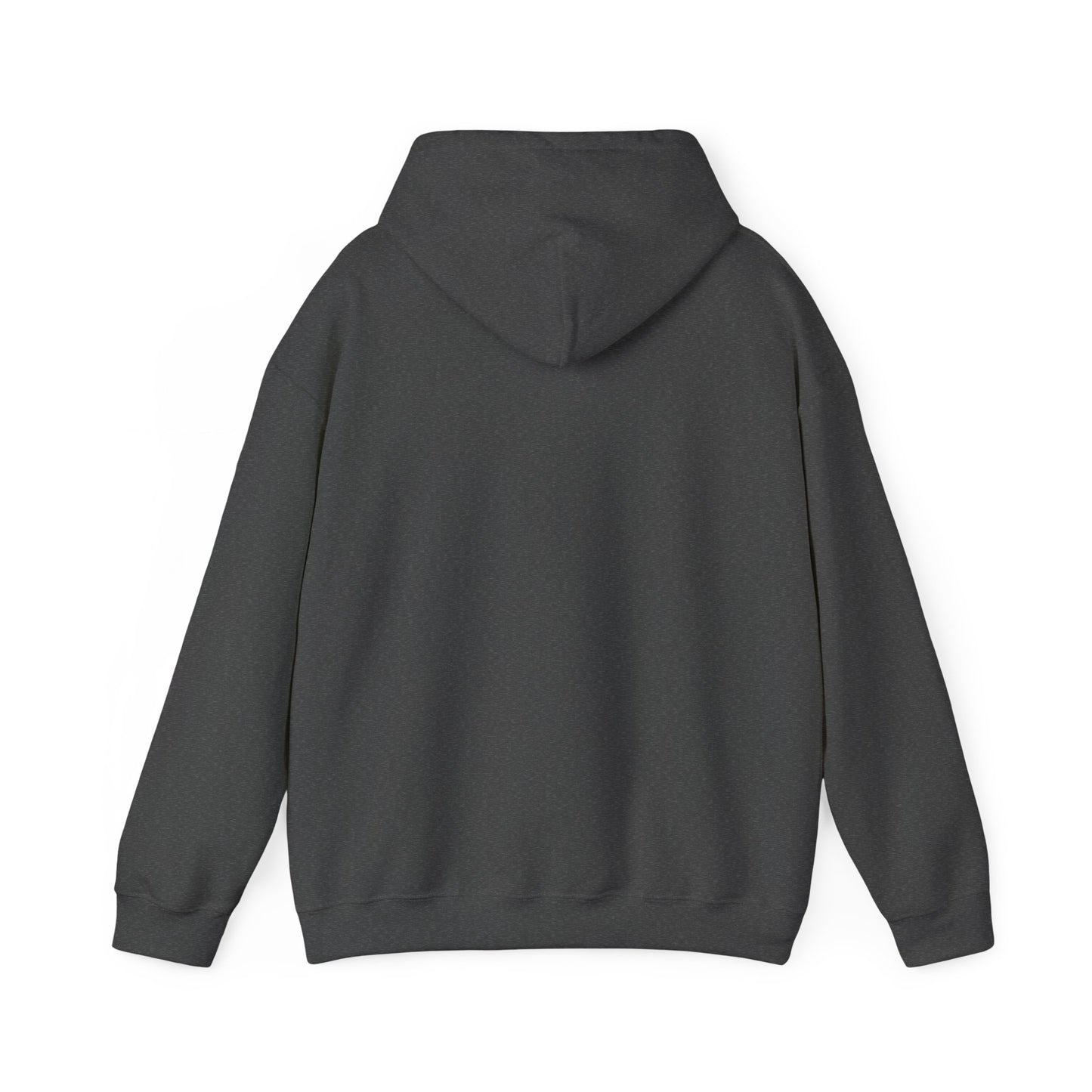 By His Grace — Ephesians 2:8 Hoodie